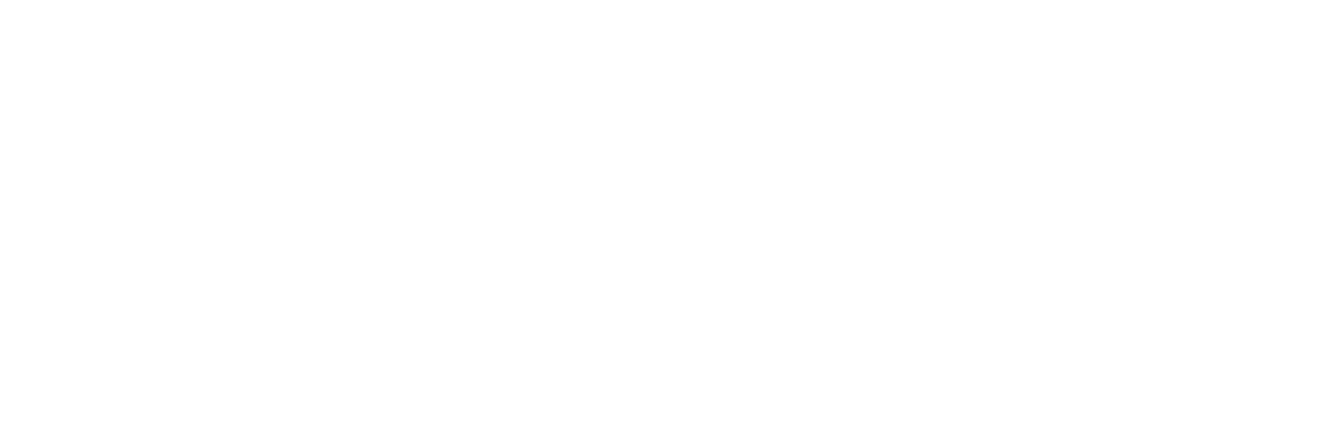 Project Play logo in white outline