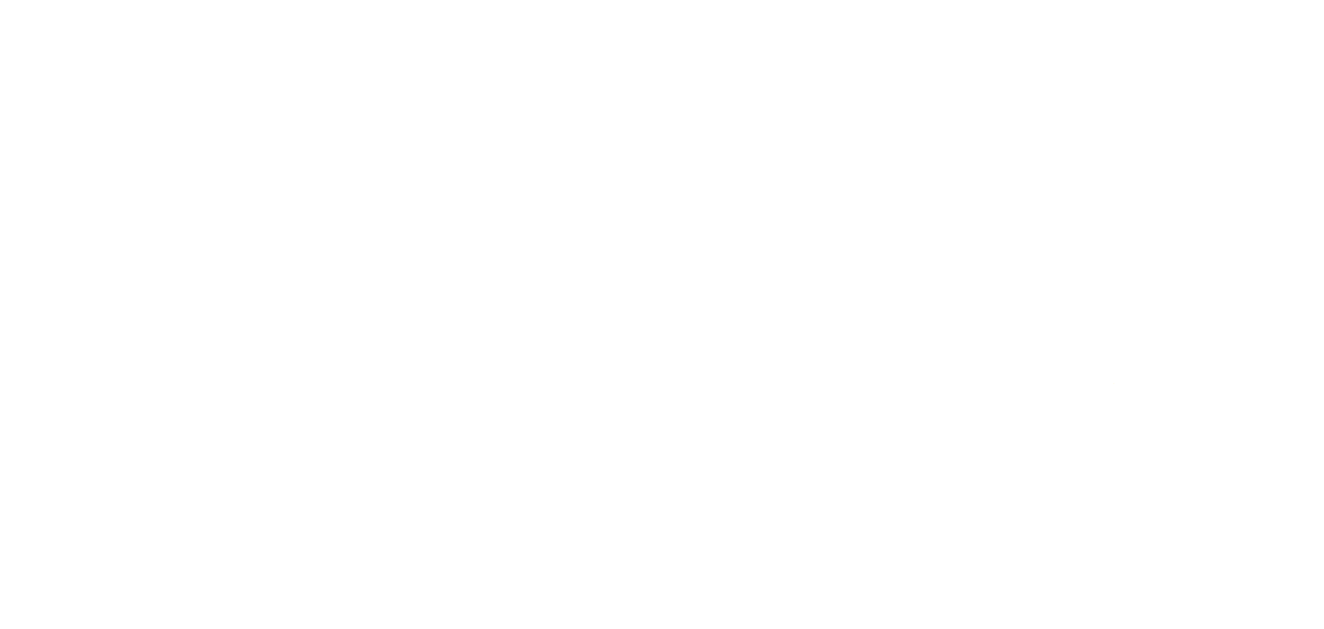 Project PLAY